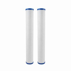 everpure cg5-20s 20" water filtration cartridge, 2-pack