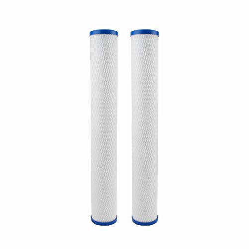 Everpure CG5-20S 20" Water Filtration Cartridge, 2-Pack