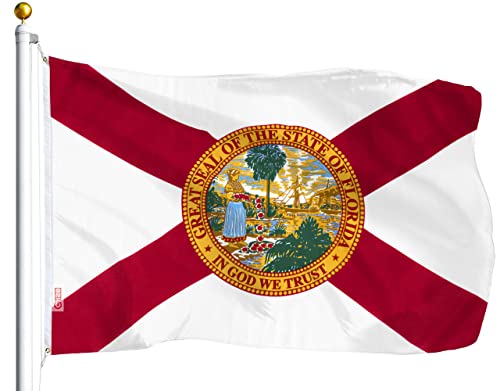 G128 Florida FL State Flag | 3x5 Ft | LiteWeave Series Printed 100D Polyester | Vibrant Colors, Brass Grommets