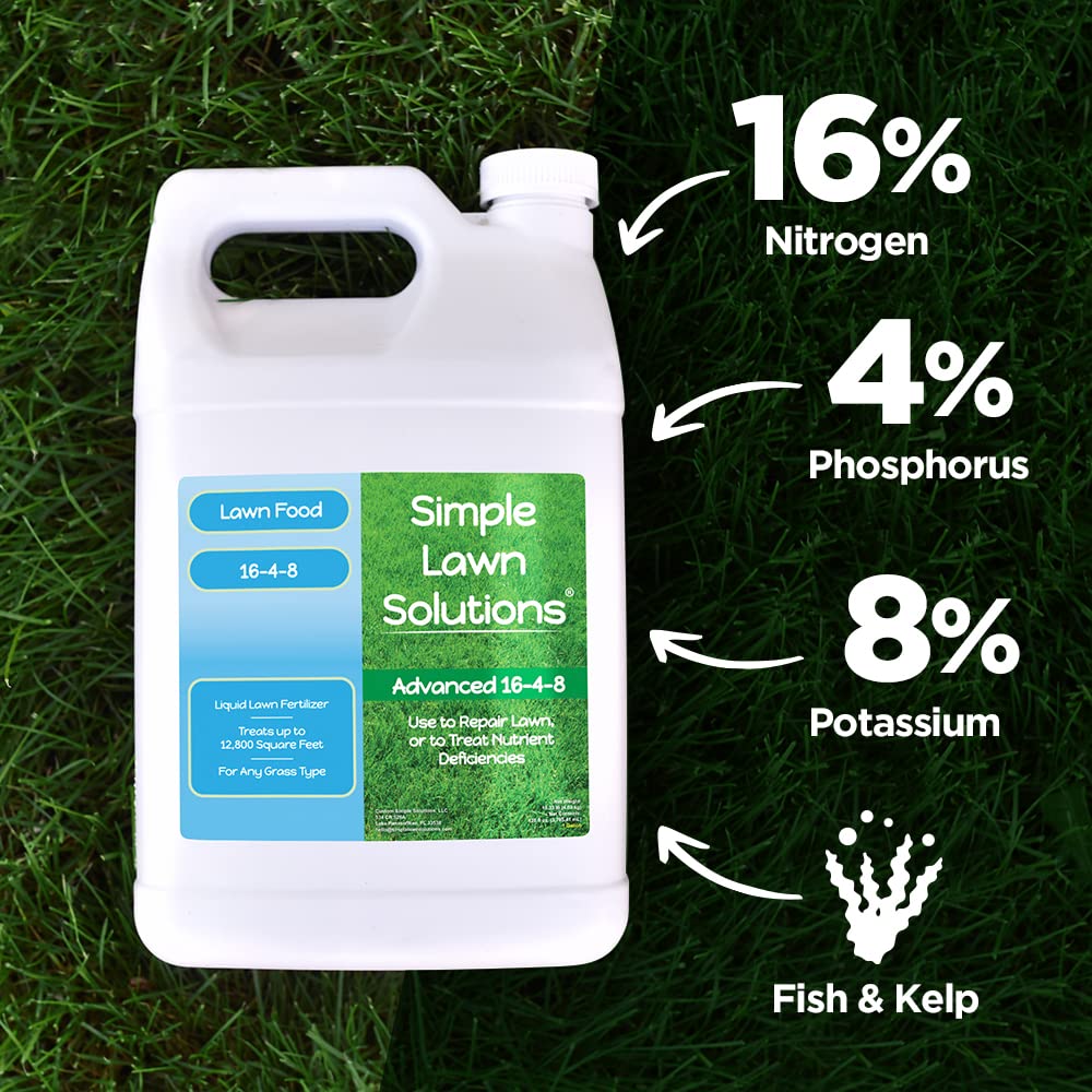 Advanced 16-4-8 Lawn Fertilizer - Liquid Lawn Food Spring & Summer Concentrated Spray - Any Grass Type- Fish and Seaweed Kelp- Balanced NPK - Simple Lawn Solutions (1 Gallon)