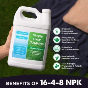 Advanced 16-4-8 Lawn Fertilizer - Liquid Lawn Food Spring & Summer Concentrated Spray - Any Grass Type- Fish and Seaweed Kelp- Balanced NPK - Simple Lawn Solutions (1 Gallon)