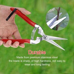 Sturdy Fruit Tree Bonsai Gardening Trimming Pruning Shears Garden Scissors Pruner Tool for Hand Pruners Trimmer Garden Clippers Flower Cutter (Straight Blade)