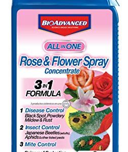 BioAdvanced All-in-One Rose and Flower Spray For Insects, Concentrate, 32 oz