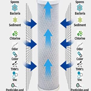 CFS – 2 Pack Carbon Water Filter Cartridges Compatible with 42-34370 Models – Remove Bad Taste & Odor – Under Sink or Countertop Application Replacement Filter Cartridge