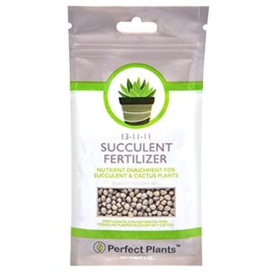 succulent and cactus fertilizer in 5oz. bag | long lasting gentle plant food formula for all live succulents, cacti, and other desert houseplants