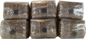 sterilized rye berry mushroom substrate with self healing injection port (6)