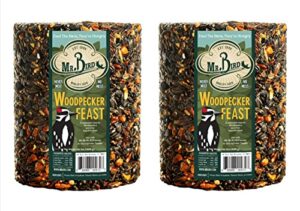 2-pack of mr. bird woodpecker feast large wild bird seed cylinder 4 lbs. 2 oz.