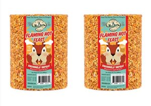 2-pack of mr. bird flaming hot feast large wild bird seed cylinder 4 lbs. 3 oz.