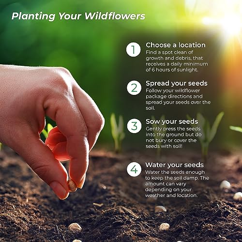 Created By Nature Washington Wildflower Seed Mix, Covers 325 Sq Ft, 20 Flower Varieties, Over 60,000 Seeds