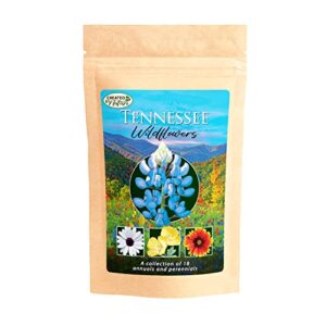 created by nature tennessee wildflower seed mix, covers 325 sq ft, 18 flower varieties, over 35,000 seeds