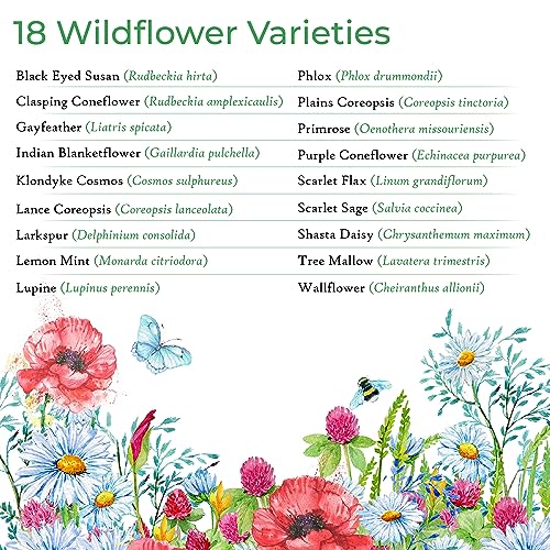 Created By Nature Tennessee Wildflower Seed Mix, Covers 325 Sq Ft, 18 Flower Varieties, Over 35,000 Seeds