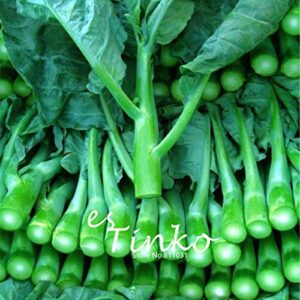 100pcs chinese kale seeds cabbage mustard green vegetable seeds home garden bonsai hot resistant vegetable potted plant diy