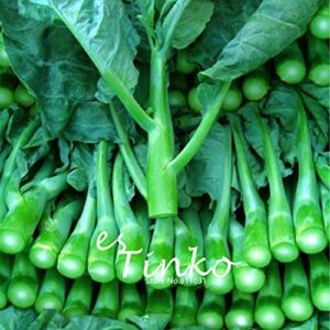 100pcs Chinese Kale Seeds Cabbage Mustard Green Vegetable Seeds Home Garden Bonsai Hot Resistant Vegetable Potted Plant DIY