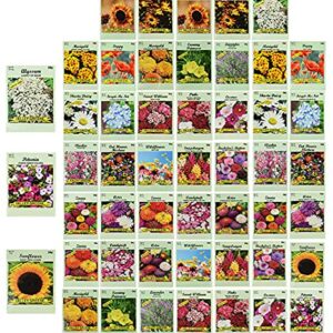 Set of 50 Assorted Flower Seed Packets! Flower Seeds in Bulk - 10+ Varieties Available!