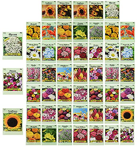 Set of 50 Assorted Flower Seed Packets! Flower Seeds in Bulk - 10+ Varieties Available!