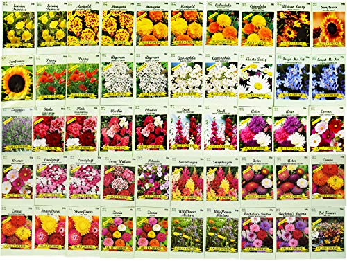 Set of 50 Assorted Flower Seed Packets! Flower Seeds in Bulk - 10+ Varieties Available!