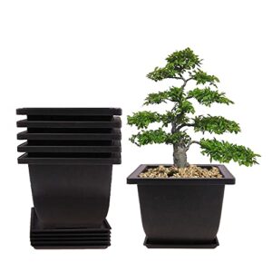 6pcs/pack retro style deep square small bonsai training pots with tray, mini plastic mocha garden flower pot 5"