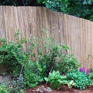 Bamboo Slat Fence, 5'H x 14'L