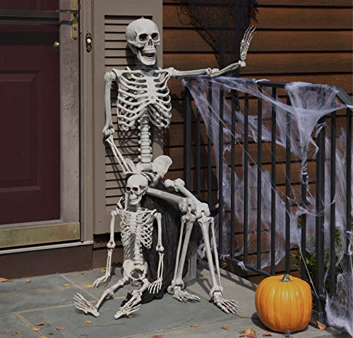 Life Size Skeleton Halloween Decoration Value 2 Pack -Adult (5' 2") & Child (2') Weather Resistant for Indoor/Outdoor - Upgrade Your Fall Graveyard Haunted House Party Props, School Classroom Decor