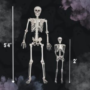 Life Size Skeleton Halloween Decoration Value 2 Pack -Adult (5' 2") & Child (2') Weather Resistant for Indoor/Outdoor - Upgrade Your Fall Graveyard Haunted House Party Props, School Classroom Decor