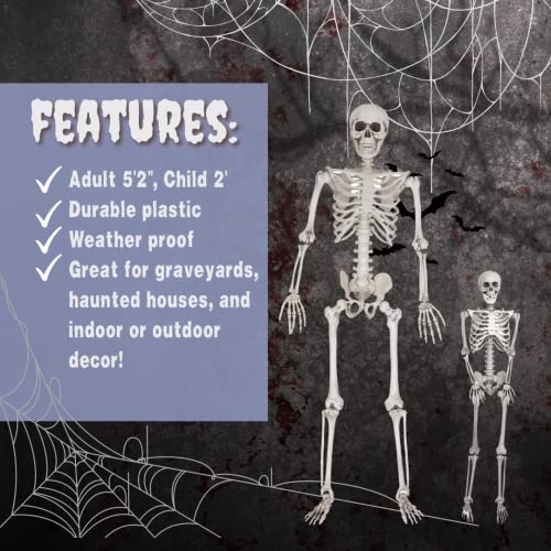 Life Size Skeleton Halloween Decoration Value 2 Pack -Adult (5' 2") & Child (2') Weather Resistant for Indoor/Outdoor - Upgrade Your Fall Graveyard Haunted House Party Props, School Classroom Decor