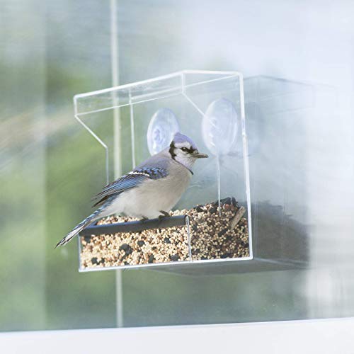 Wild Birds of Joy Window Bird Feeder with Strong Suction Cups and Seed Tray with Drain Holes, Small, Compact, Clear Acrylic, Easy Clean, Outside Feeders for Transparent Viewing