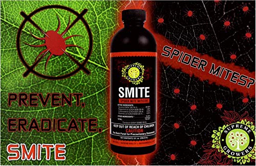 Supreme Growers Smite Spider Mite Killer, All Natural Pesticide, Non-Toxic, Biodegradable, Organic Eco Friendly Pest Control (32oz Ready to Use Spray Bottle)