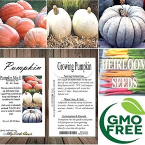 Big Pack (80-90+) Dill Atlantic Giant, Casper White, Cinderella Rouge VIF D'Etampes, & Jarrahdale Blue Pumpkin Seeds - Non-GMO Seeds by MySeeds.Co (Big Pack - Pumpkin Mix II)