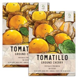 seed needs, ground cherry tomatillo seeds for planting (physalis pruinosa) heirloom, non-gmo & untreated (2 packs)