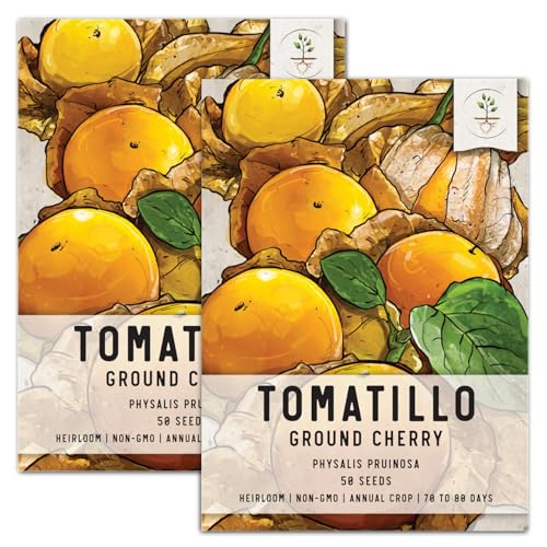 Seed Needs, Ground Cherry Tomatillo Seeds for Planting (Physalis pruinosa) Heirloom, Non-GMO & Untreated (2 Packs)