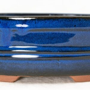 bigsnowball 8" Oval Dark Blue Bonsai/Cactus & Succulent Pot + Tray + Rock + Mesh Combo