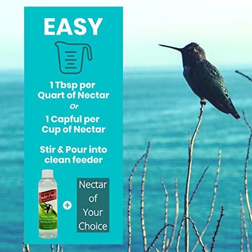 Sapphire Labs Nectar Defender - Hummingbird Nectar Extender That Prolongs The Life of Nectar for Hummingbird Feeders - It Works Exceptionally Well During Warm Weather Months - 2 Pack