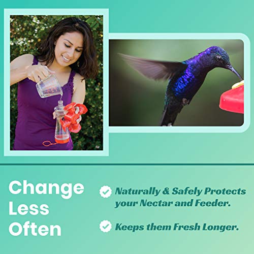 Sapphire Labs Nectar Defender - Hummingbird Nectar Extender That Prolongs The Life of Nectar for Hummingbird Feeders - It Works Exceptionally Well During Warm Weather Months - 2 Pack