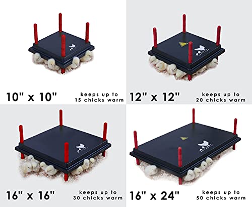 RentACoop Chick Brooder Heating Plate - Brooder Heating Plate Warms Up to 15 Chicks - Chick Heater with 25 Adjustable Heights and 15 Watts - Safer Alternative to Heating Lamps - 10" x 10"