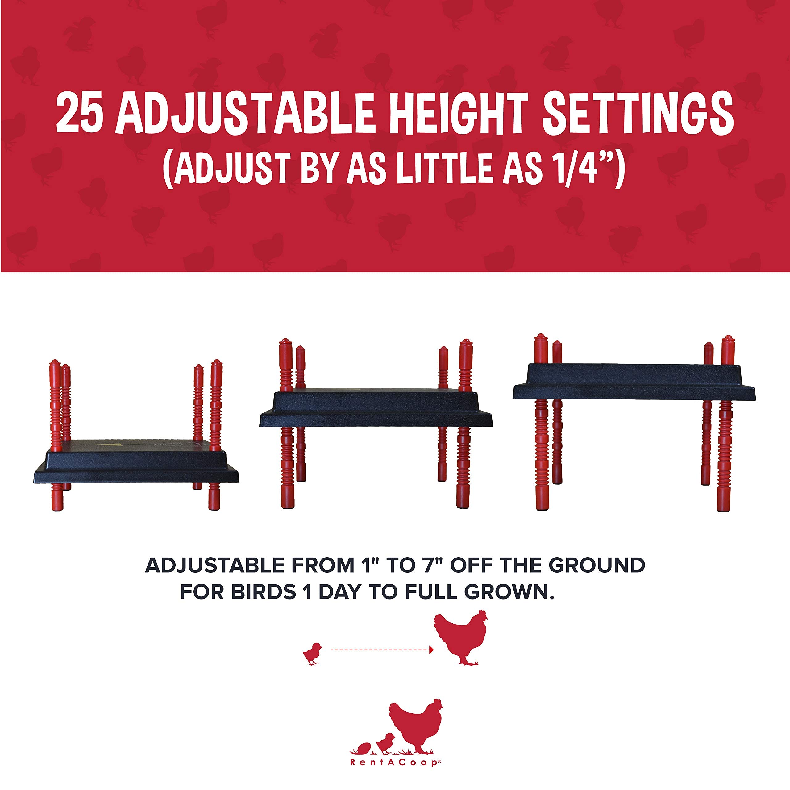 RentACoop Chick Brooder Heating Plate and Anti-Roost Cone Set - Brooder Heat Plate Warms Up to 30 Chicks - Chick Heater with 25 Adjustable Heights and 42 Watts - Safer Than Heat Lamps - 16" x 24"