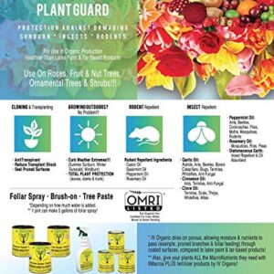 IV Organic 3-in-1 Plant Guard, 1 Pint (Green)