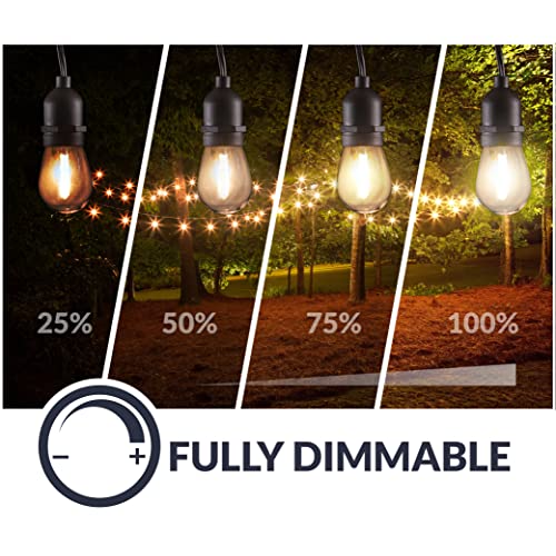 Newhouse Lighting LED String Lights with Weatherproof Technology, Dimmable with Wireless Remote Control, 48ft and 16 (15+1 Free) LED Light Bulbs Included, Black (CSTRINGLEDDIM)