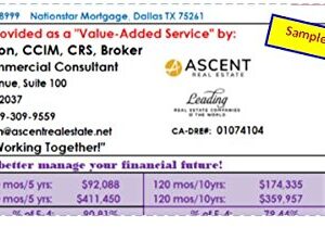 Mortgage Minimizer/Equity Builder: Professional User Version