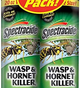 Spectracide Wasp and Hornet Killer Aerosol, 20-Ounce, 2-Pack