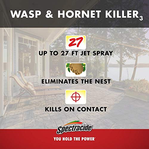 Spectracide Wasp and Hornet Killer Aerosol, 20-Ounce, 2-Pack