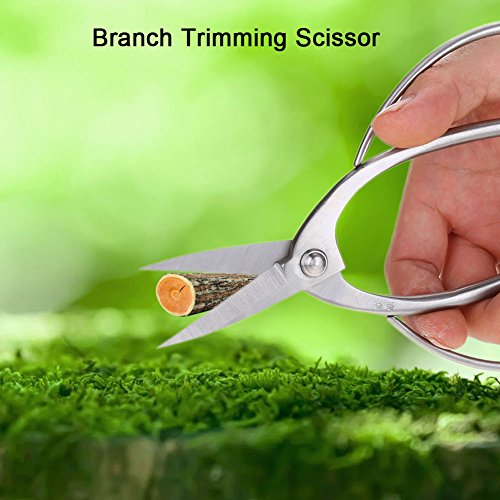 GLOGLOW Bonsai Scissors, 7.5 Inch Stainless Steel Root Branch Pruning Shear for Garden Arranging Flowers, Trimming Plants