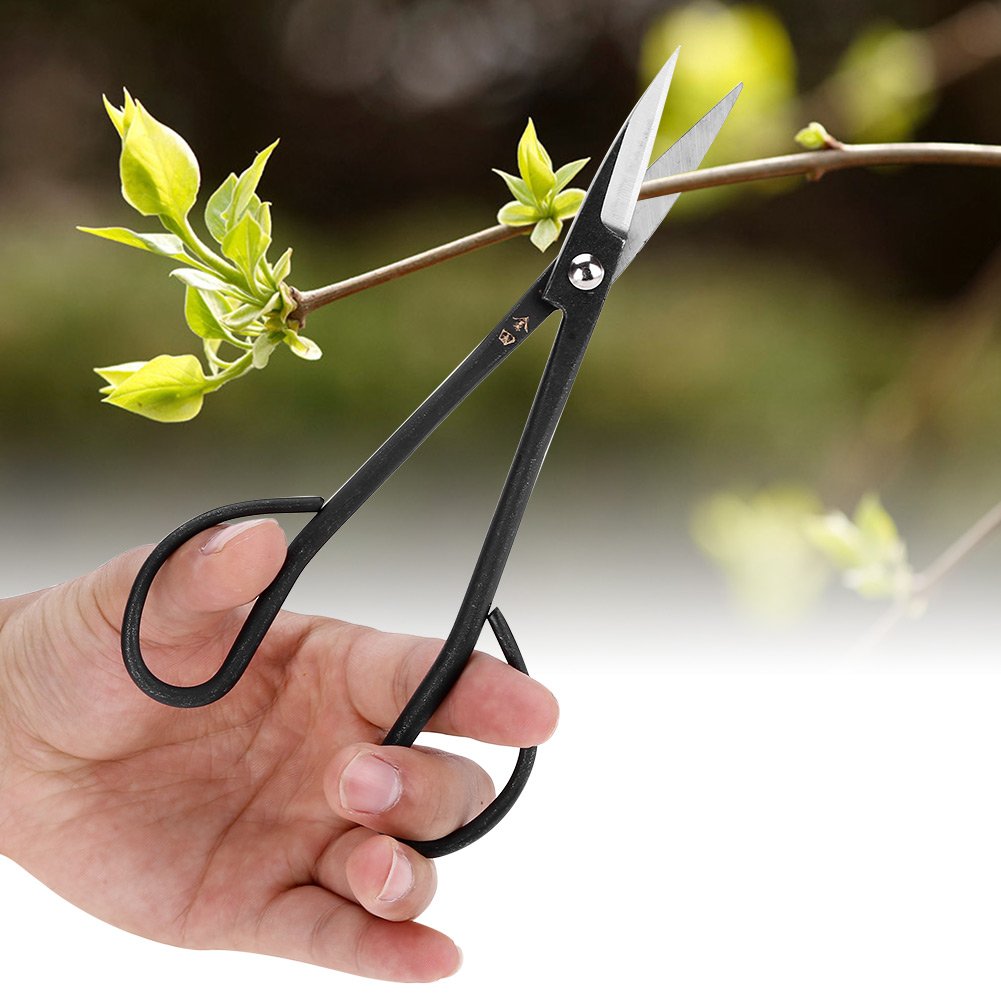 190mm Sharp Bonsai Scissor Pruning Shears Bud and Leaves Trimmer Brush Secateurs Garden Hand Tools