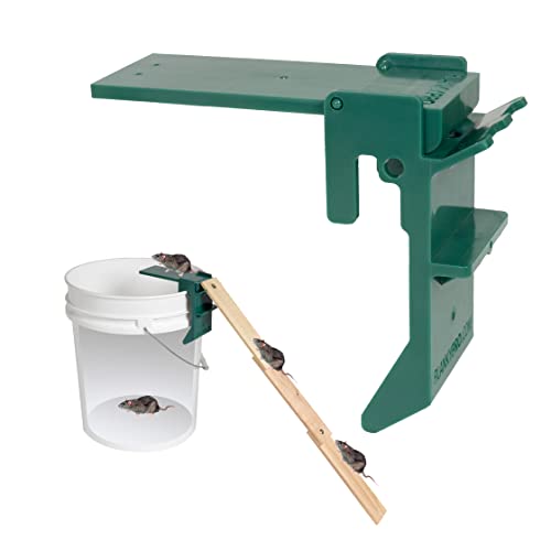 Walk The Plank Bucket Mouse Trap | Flip and Slide | Water-Proof | Durable | Auto-Reset - Live or Kill