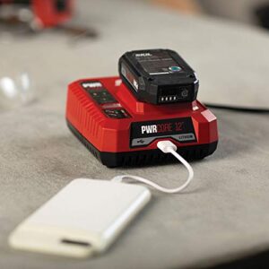 SKIL PWRCore 12 PWRJump Charger - QC535701