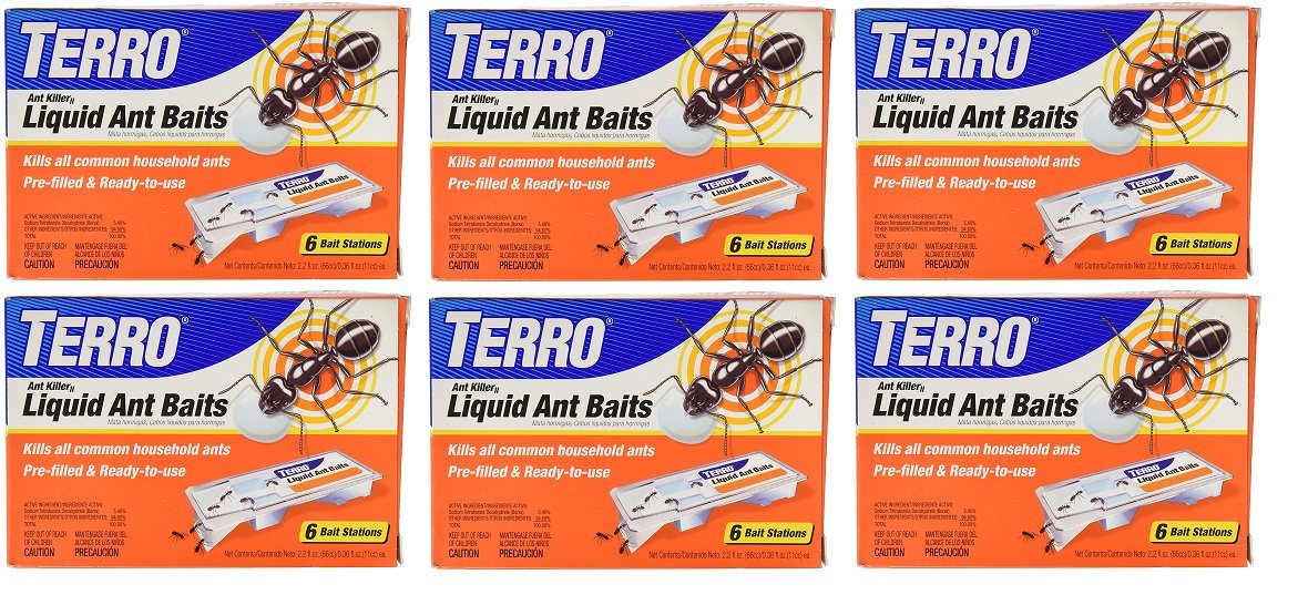 Terro T300-3 Killer Liquid Ant Baits-6 Packs, 6-Pack