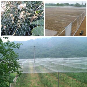 GWHOLE 33 x13 Ft Garden Netting for Tree and Plant Protection,Translucent