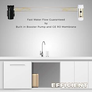 GreatWell ROG400 Tankless Reverse Osmosis Water Filtration System with 400GPD RO Filter 1.5:1 Pure to Drain Ratio and Drinking Water Faucet