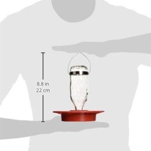 Birds Choice Best-1 8oz. Hummingbird Feeder (Pack of 2)