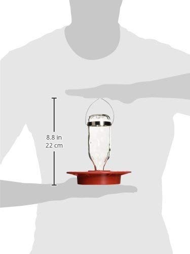 Birds Choice Best-1 8oz. Hummingbird Feeder (Pack of 2)