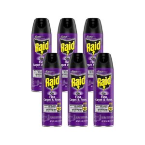 raid flea killer carpet and room spray (16 ounce (pack of 6))